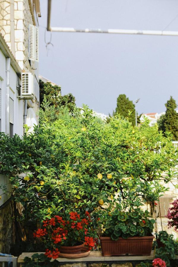 Apartments Fora - Hvar Хвар Экстерьер фото