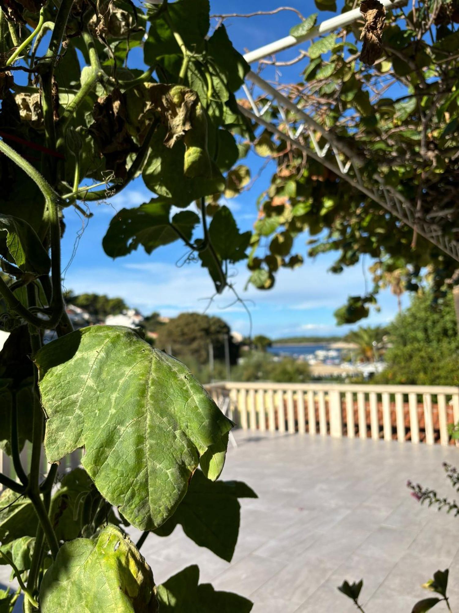Apartments Fora - Hvar Хвар Экстерьер фото